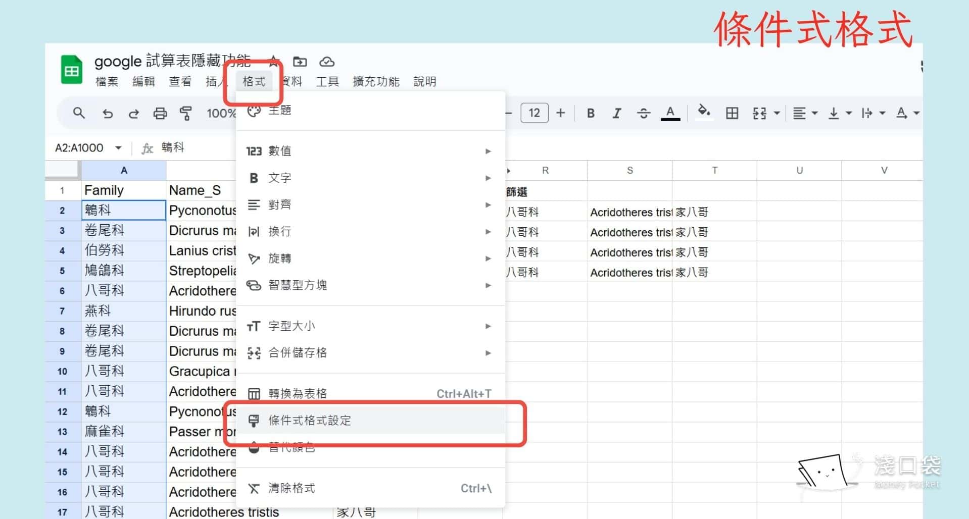 條件式設定位置