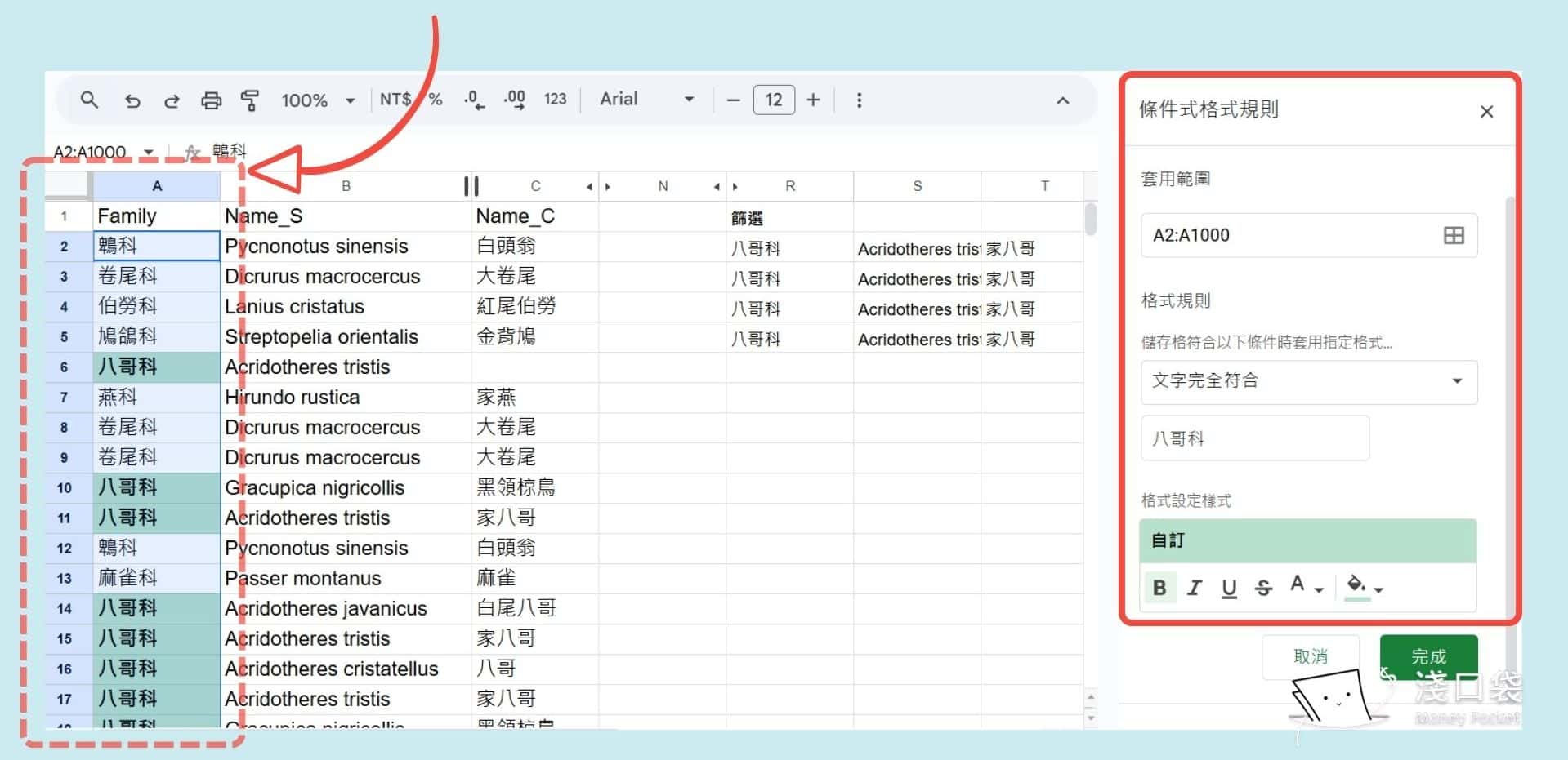符合條件的加上底色、文字粗體