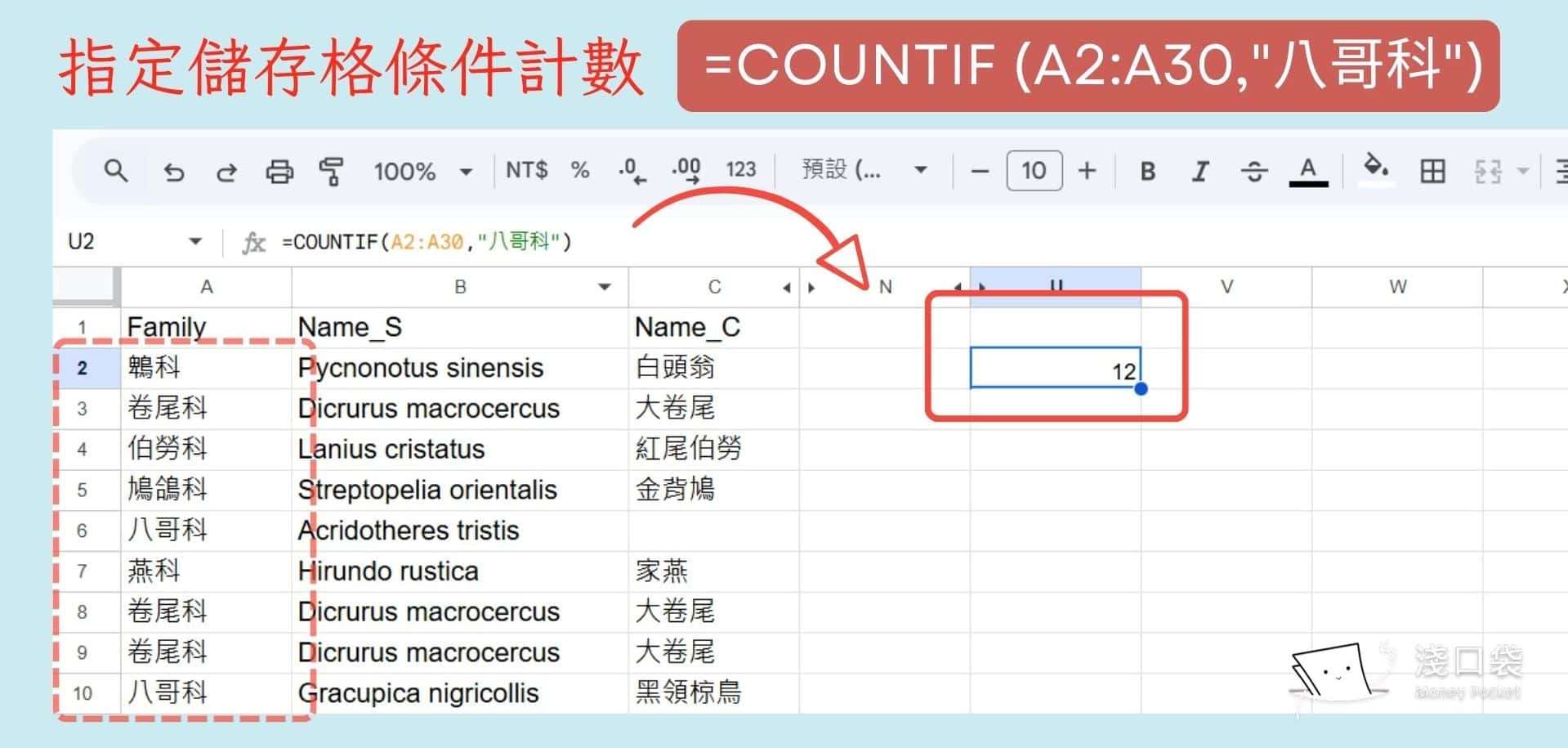 單一條件計數