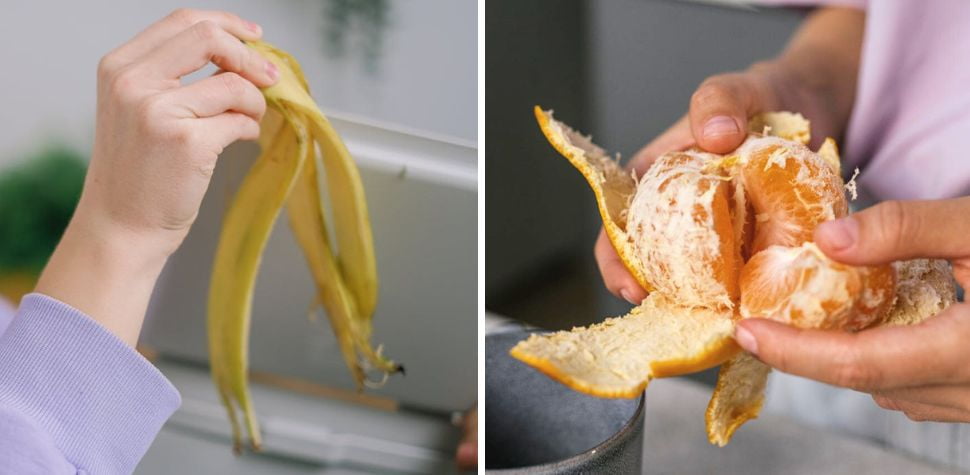 家裡常出現的果皮廚餘