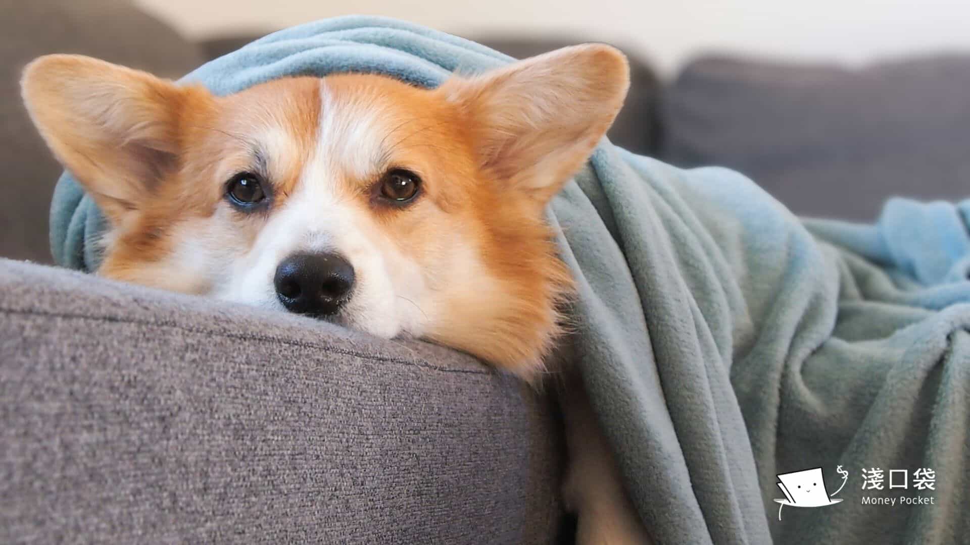 寒流說來就來，怎麼保暖最有效？禦寒技巧蒐集